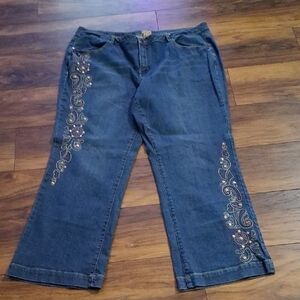Midnight Velvet Blue Embroidered Flare Jeans